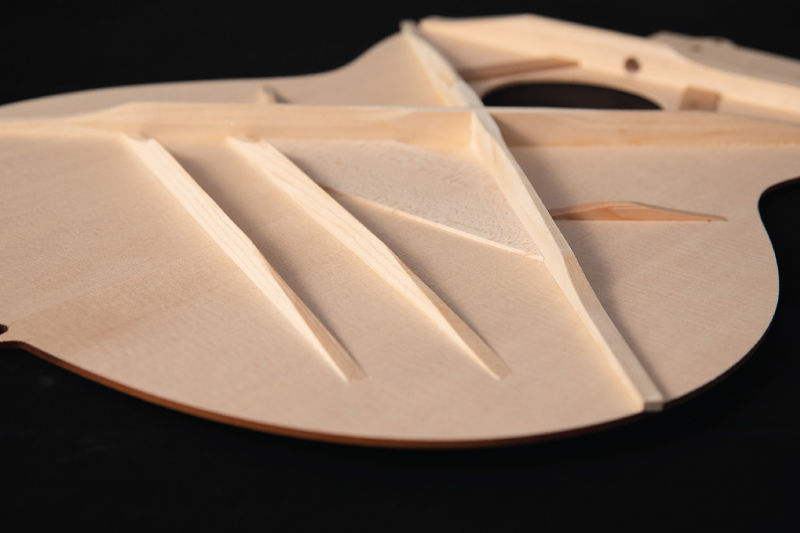 close-up image of the ltd202 guitar interior wood body